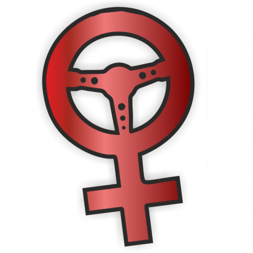 Steffis Frauenfahrschule